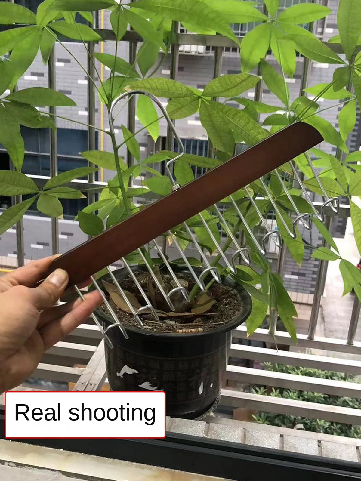 קולב עץ עם 8 ווים לארון