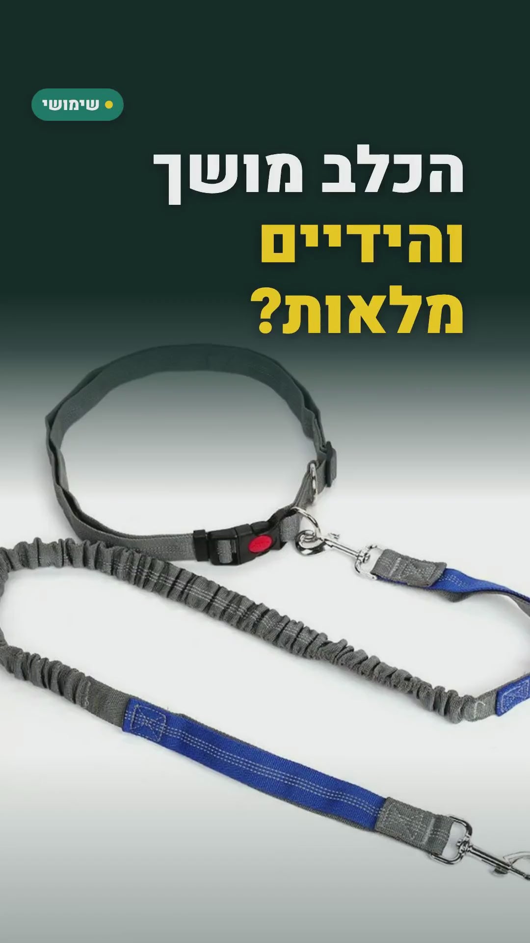 רצועת כלב לחגורת המותן – ידיים חופשיות, עם קטע אלסטי – סרטון