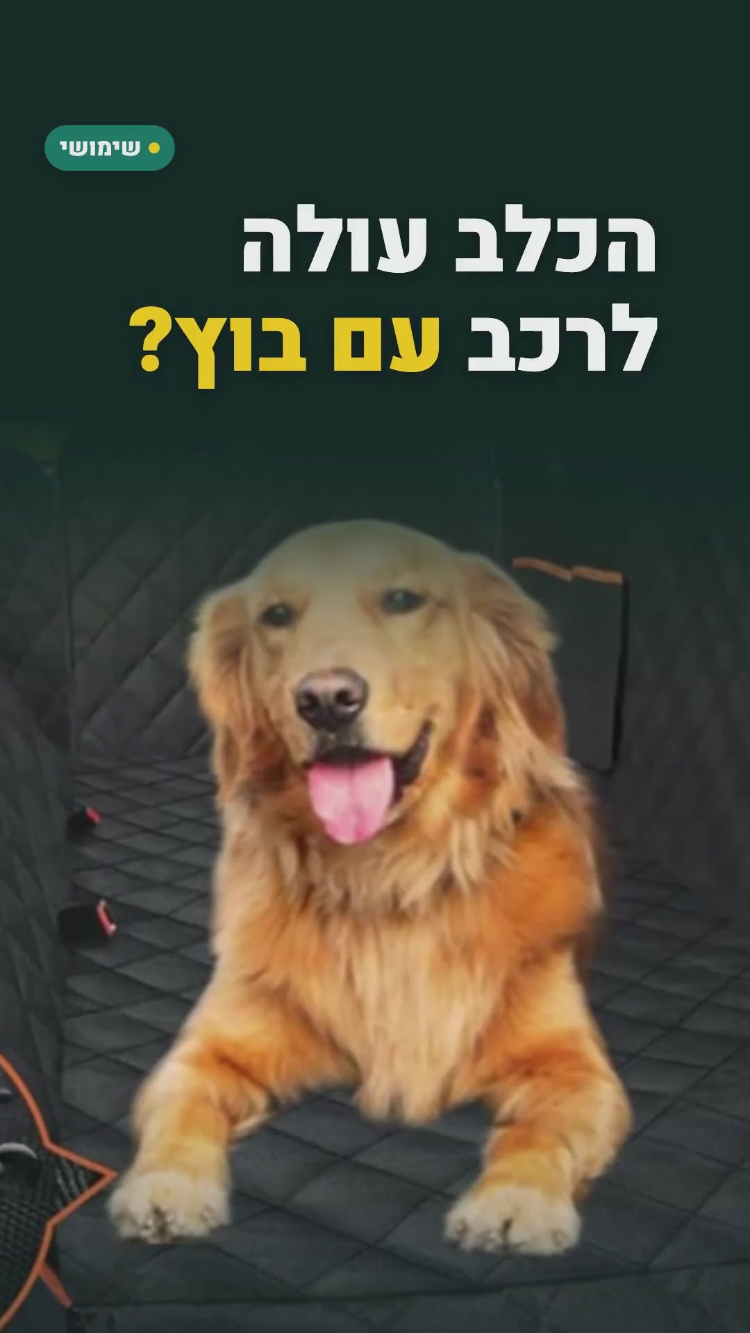 כיסוי ערסל למושב האחורי – לכלב ברכב – סרטון