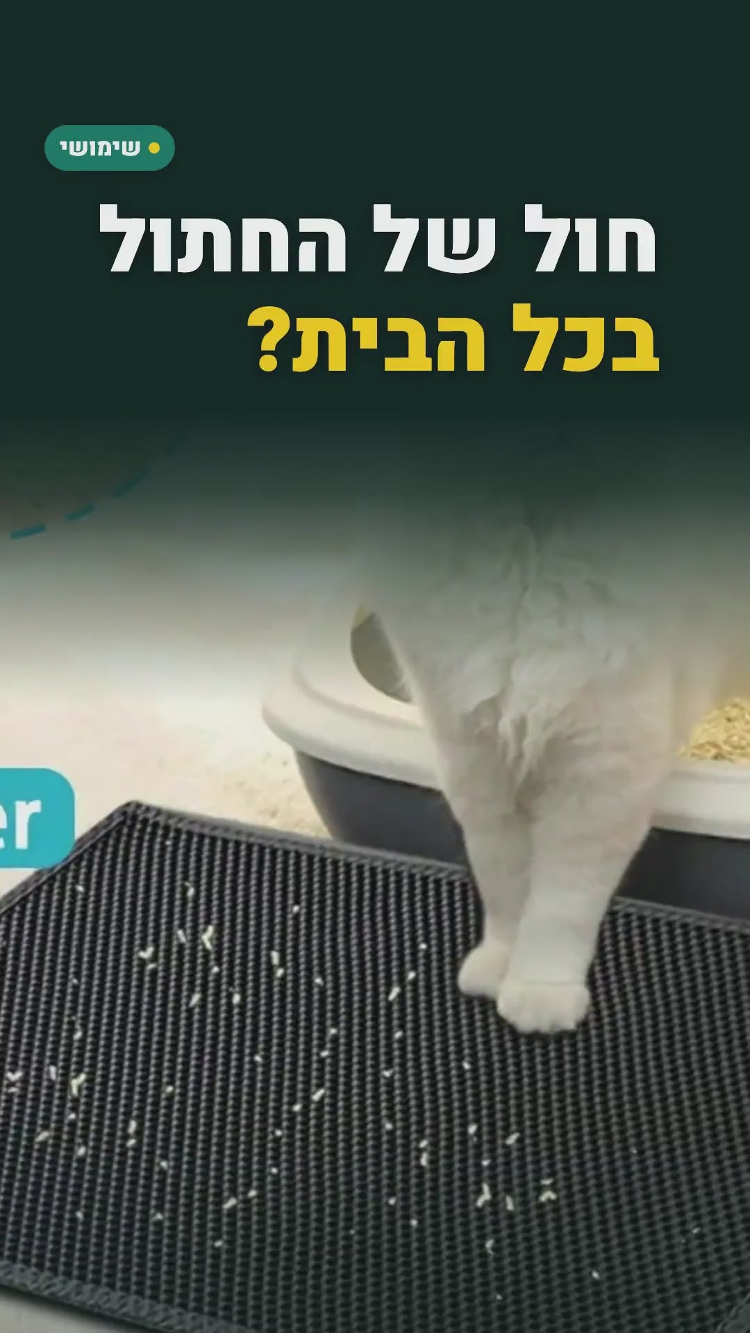 שטיחון דו-שכבתי לארגז החול – תופס את החול מהכפות – סרטון