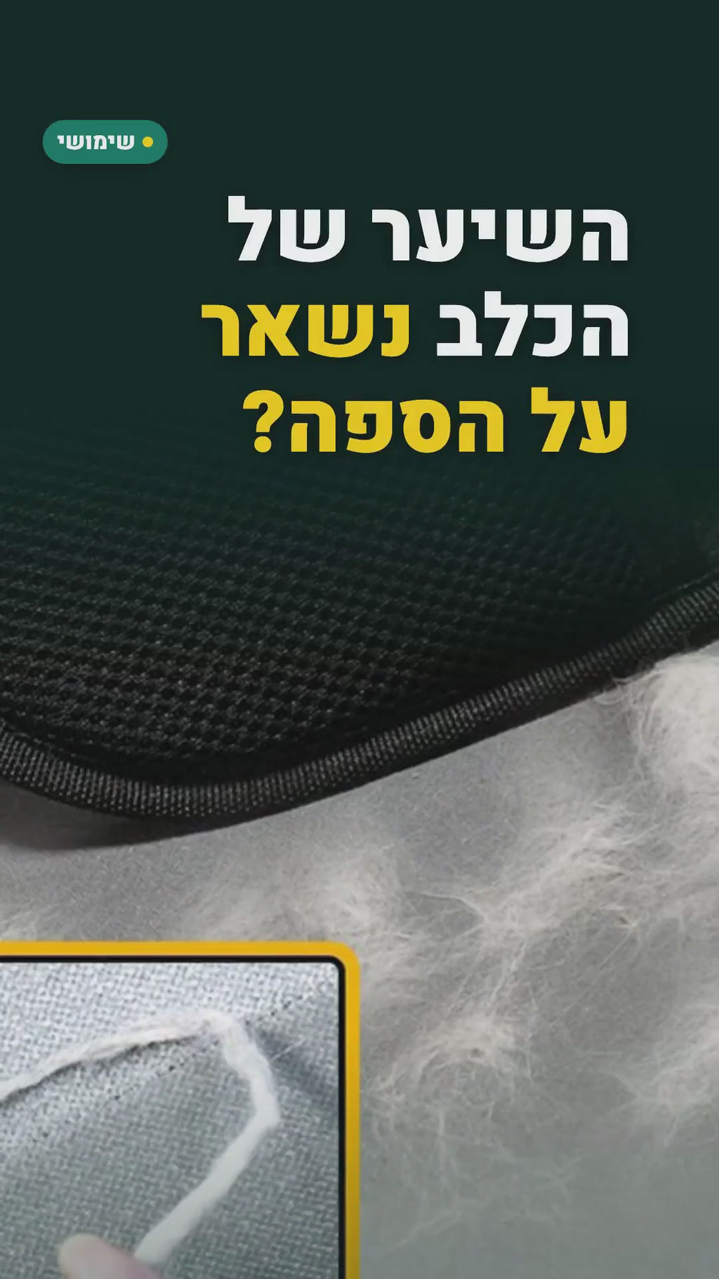 כפפת ליטוף שאוספת שיער של כלבים וחתולים – סרטון