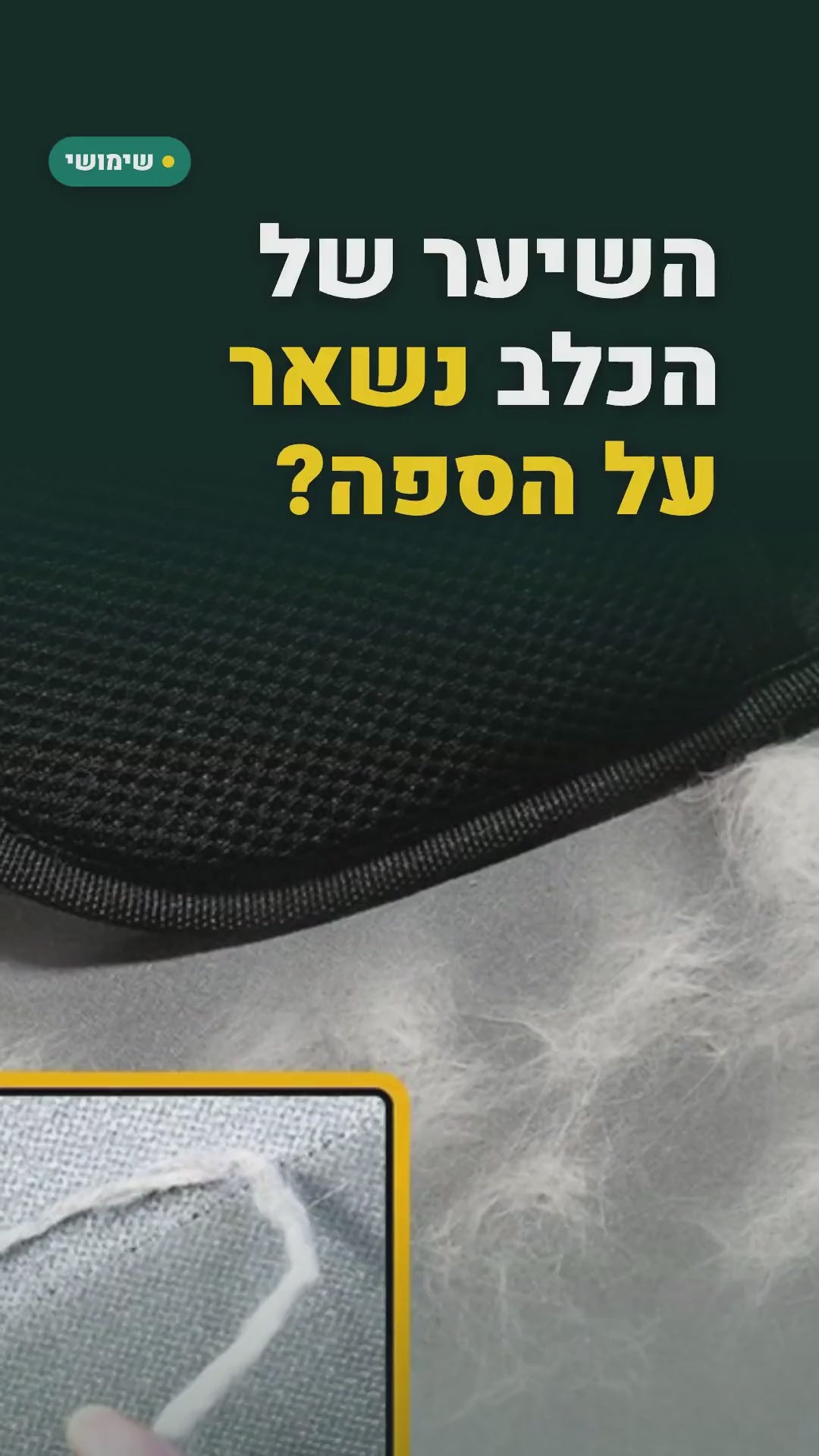 כפפת ליטוף שאוספת שיער של כלבים וחתולים – סרטון