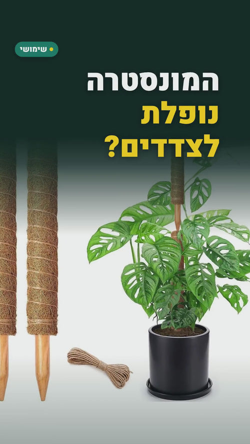 זוג עמודי קוקוס לצמחים מטפסים – 43 או 53 ס"מ, עם חבל יוטה – סרטון