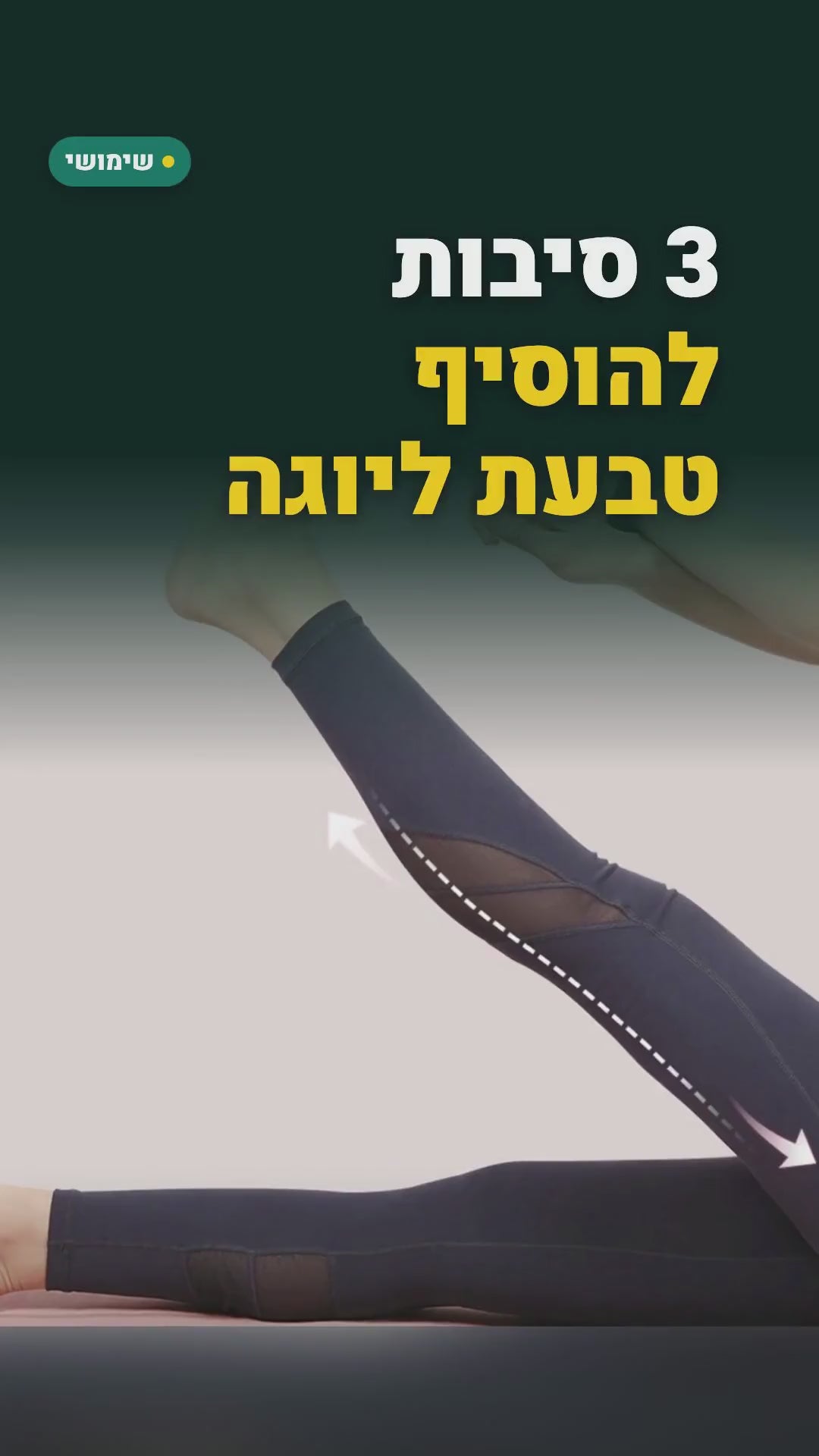 טבעת מתיחה ליוגה ופילאטיס – כ-22×12 ס"מ, 4 צבעים – סרטון