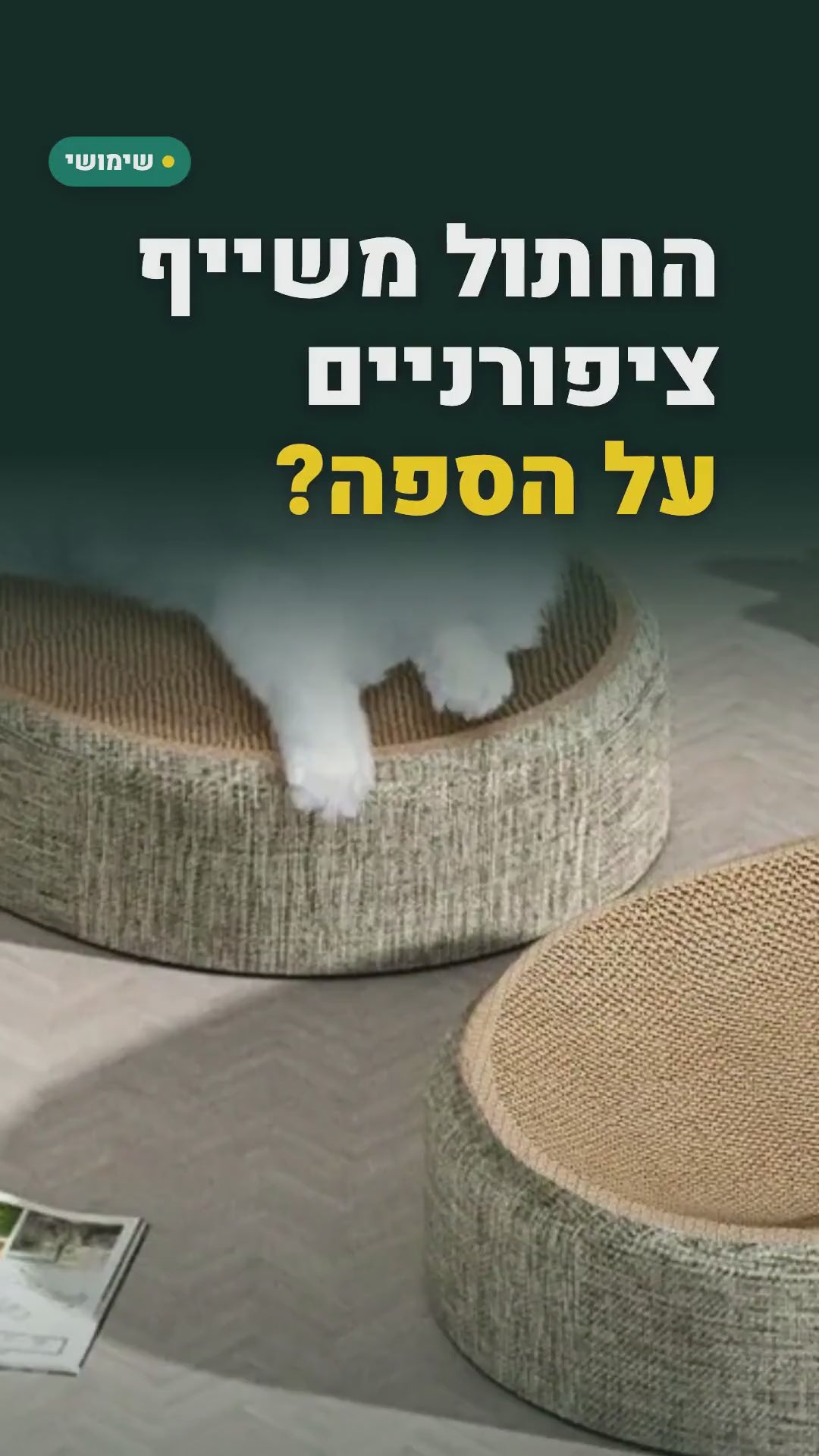 מיטה-מגרדת לחתול 2 ב-1 – מגרד ונח באותו מקום – סרטון