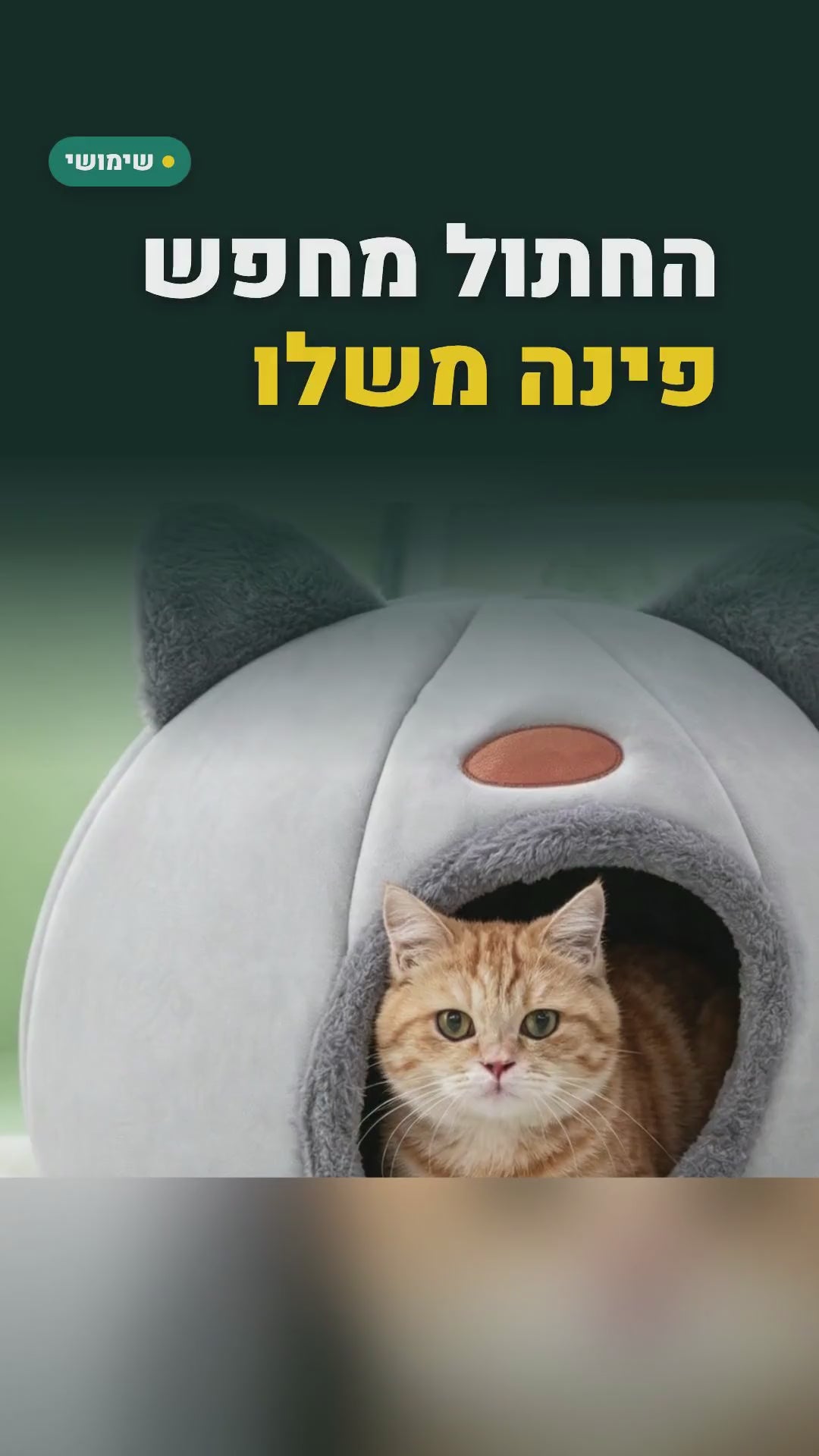 מיטת מערה חצי-סגורה לחתולים – 33×33×33 ס"מ, אפור בהיר – סרטון