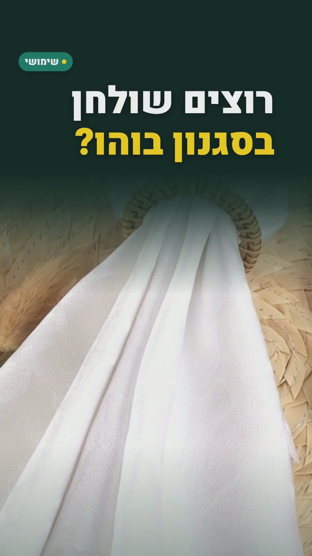 12 טבעות מפיות בסגנון ראטן – סרטון