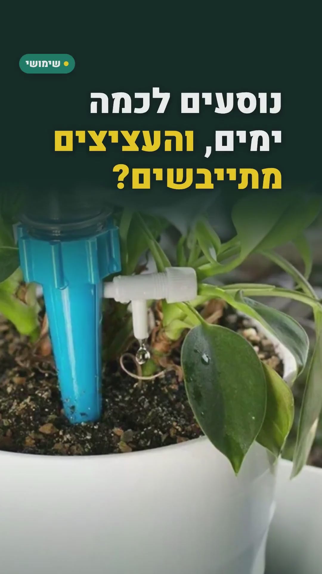 יתדות השקיה לבקבוק – העציצים שותים לבד – סרטון