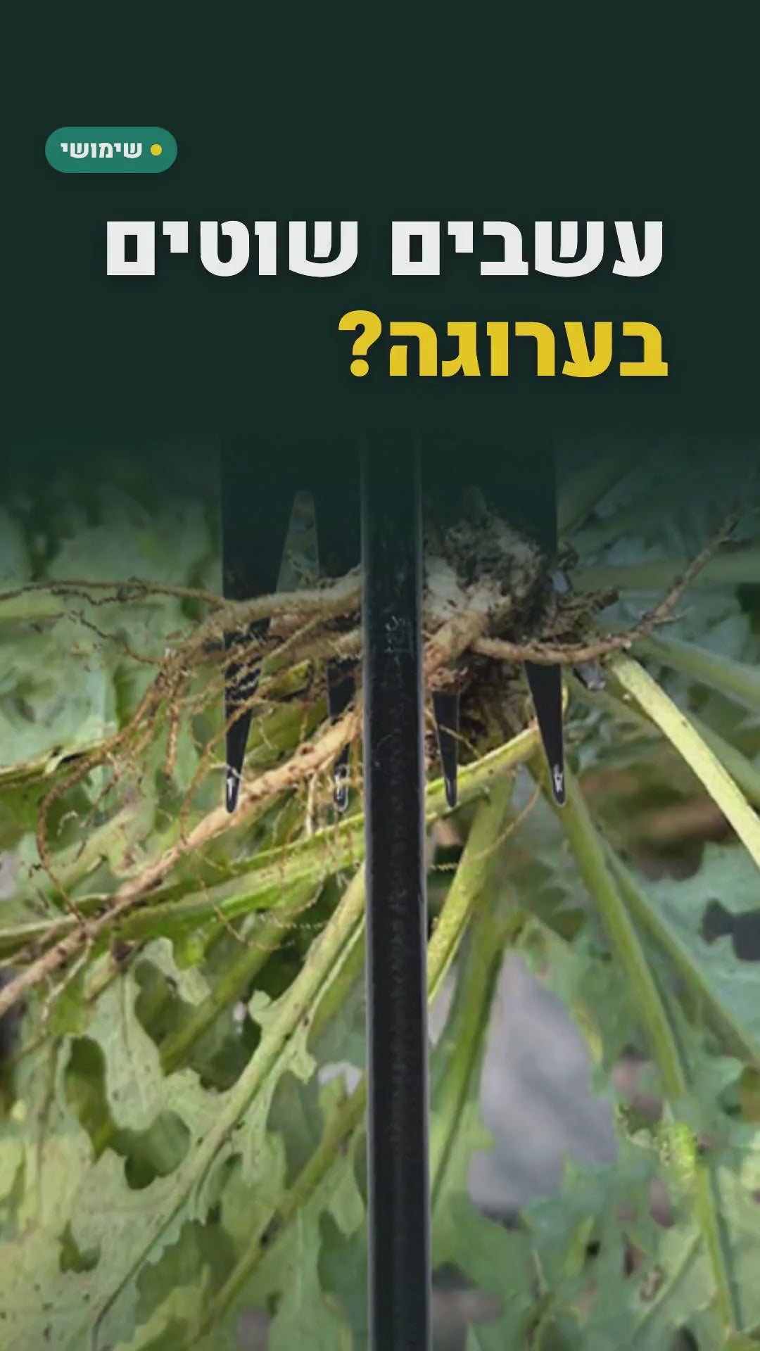 מעדר-מזלג ידני לגינה – עוקר עשבים ומשחרר אדמה – סרטון