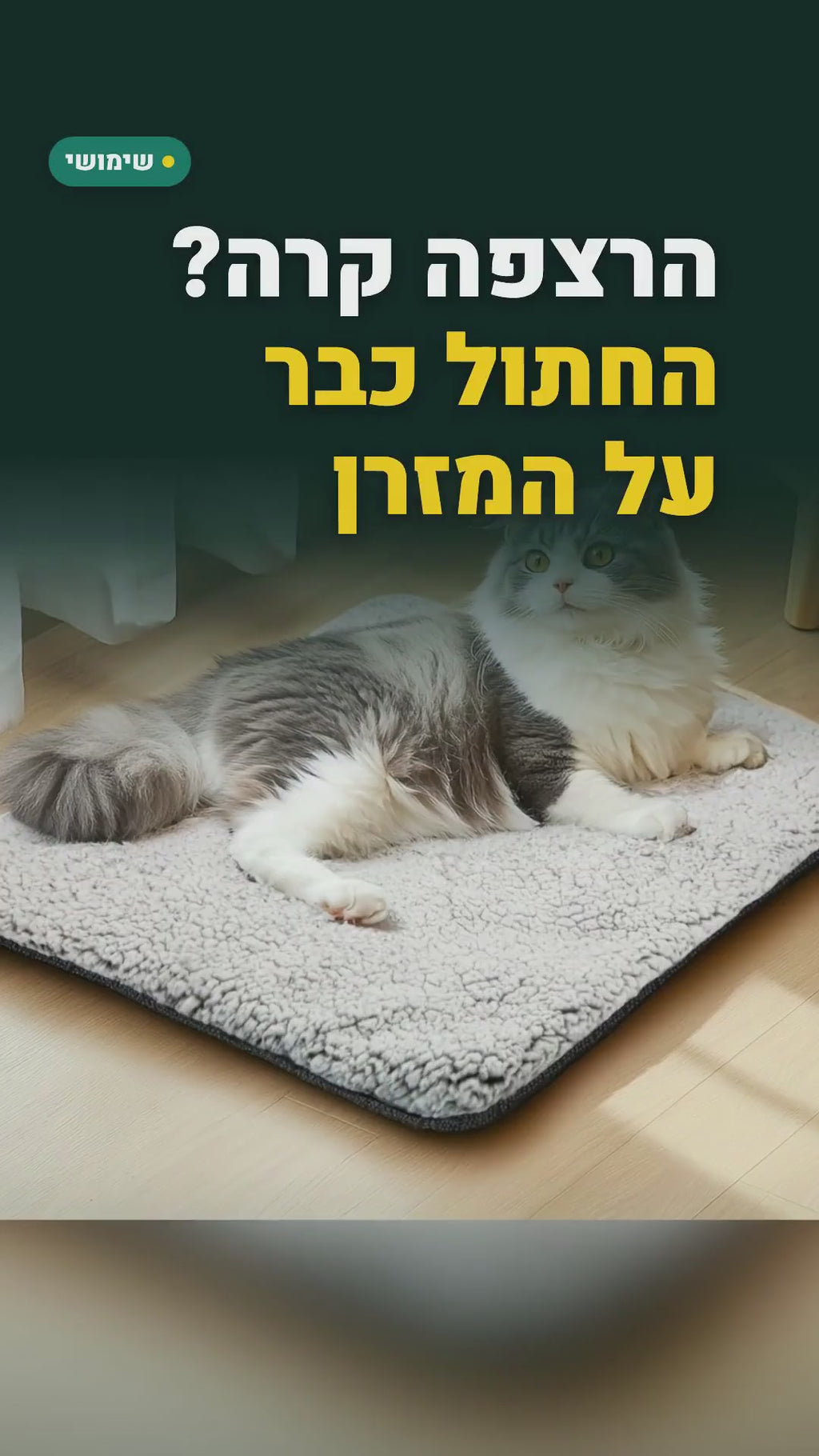 מזרן חימום עצמי לחתולים ולכלבים – בלי חשמל, 3 מידות – סרטון
