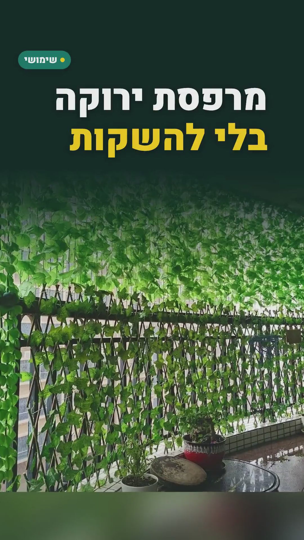 זר קיסוס מלאכותי 11 מטר – 5 שרשראות של 2.2 מ' לקישוט מרפסת וקיר – סרטון