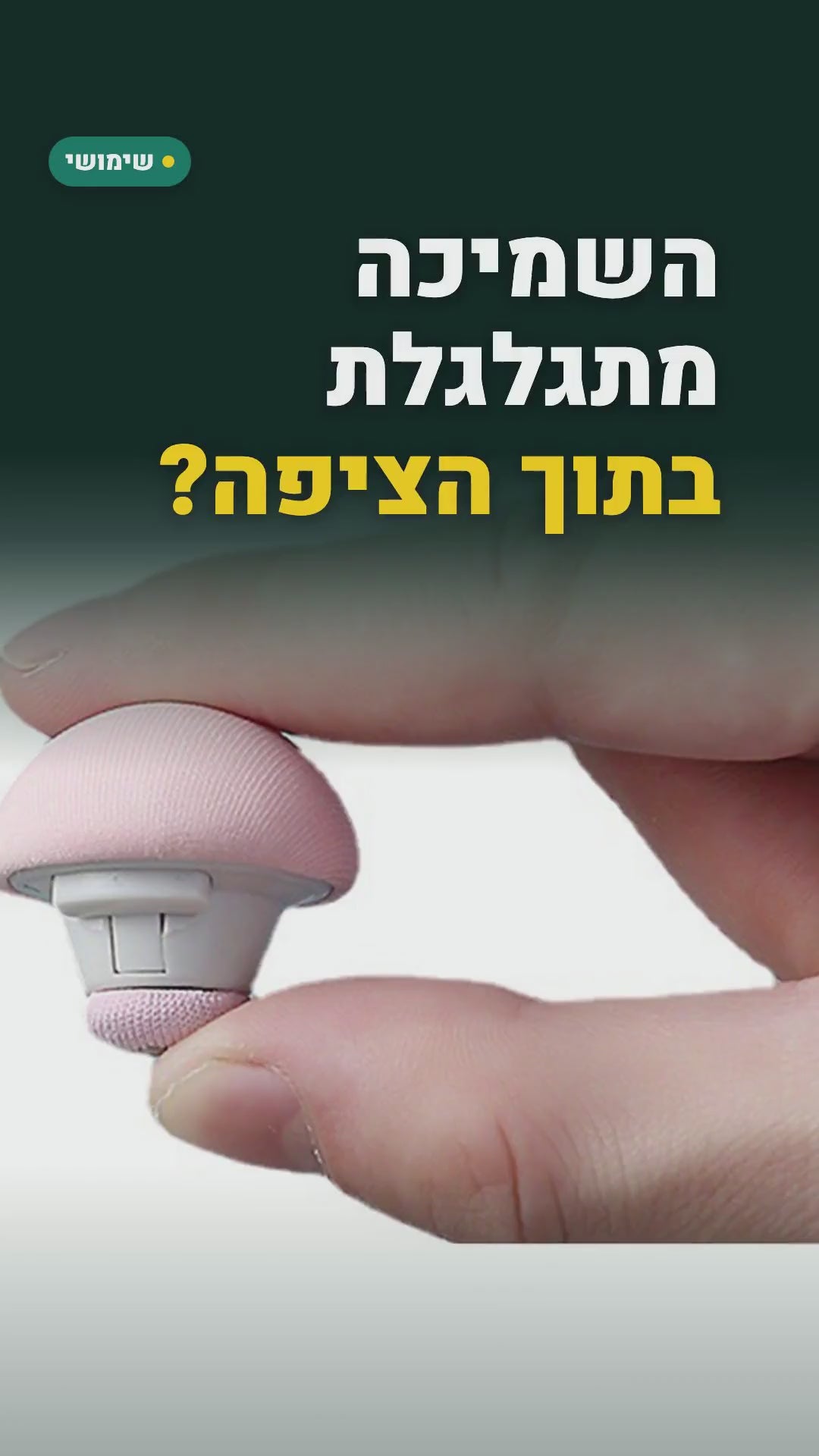 קליפסים "פטריות" לקיבוע שמיכה בתוך הציפה – 10 או 20 יחידות – סרטון