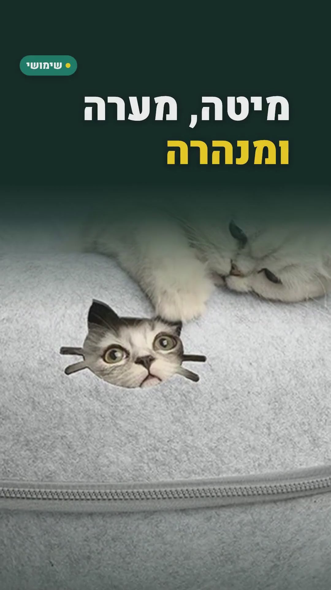 מיטת דונאט מלבד לחתול – מנהרה ומיטה 2 ב-1 – סרטון